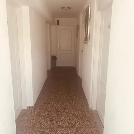 Nico 3* זאדאר